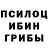 Галлюциногенные грибы мицелий Valentin Shikankov