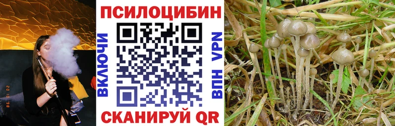 Галлюциногенные грибы мухоморы  где найти наркотики  Ершов 